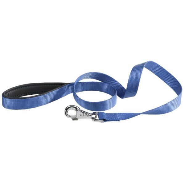 [75336925] Ferplast Daytona G Nylon Dog LeashColor: Blue, Dimension: 20mm x L 120cm