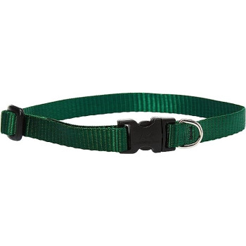 Ferplast Daytona GA Nylon Dog LeashColor: Orange, Dimension: 15mm x L 200cm