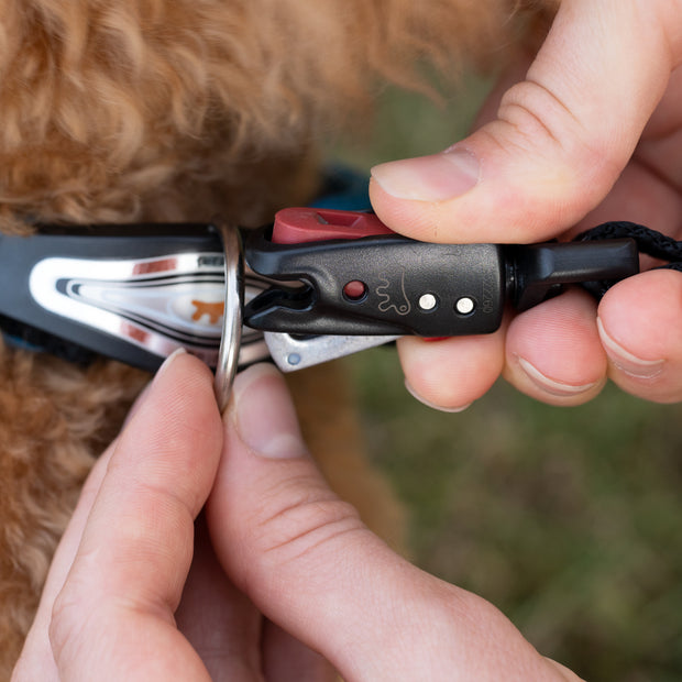 Ferplast Dog Leash with Automatic HookColor: Orange, Dimension: 120cmX20mm