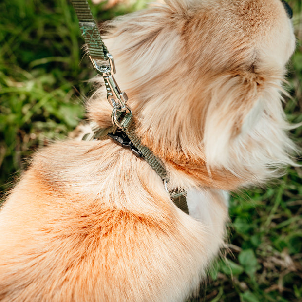 Ferplast Easy P Xxs Harness Black -195