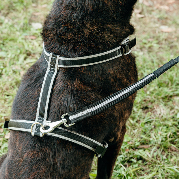 Ferplast Ergo Comfort Elastic G25/110 Le (75520917)