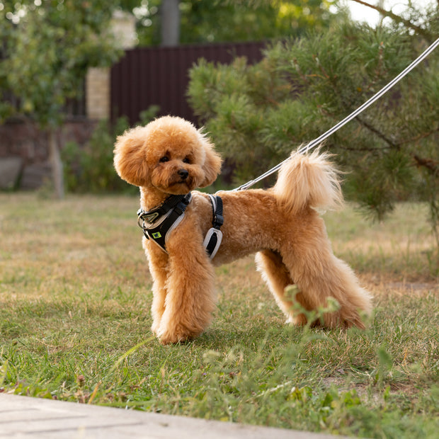 Ferplast Ergocomfort Dog Collar with micro-regulating systemColor: Red, Dimension: 34-42cmx15mm