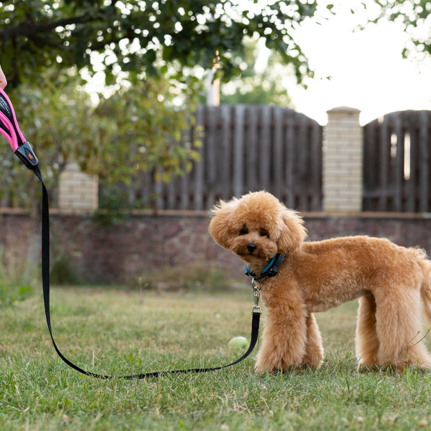 Ferplast Ergocomfort G LeadColor: Silver, Dimension: 15mm x L 120cm