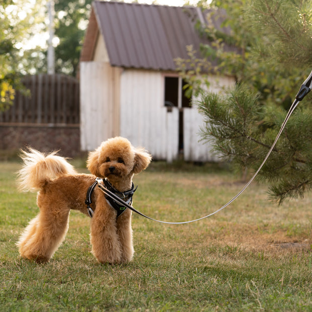 Ferplast Ergocomfort G LeadColor: Silver, Dimension: 25mm x L 55cm