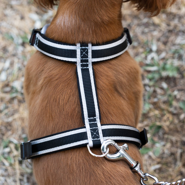 Ferplast Ergocomfort Metal GM Leash With Ergonomic Handle and Chromed Metal ChainDimension: 25mm x L 65cm