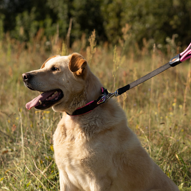Ferplast Ergonomic Lead for DogsColor: Pink, Dimension: 55cmX25mm