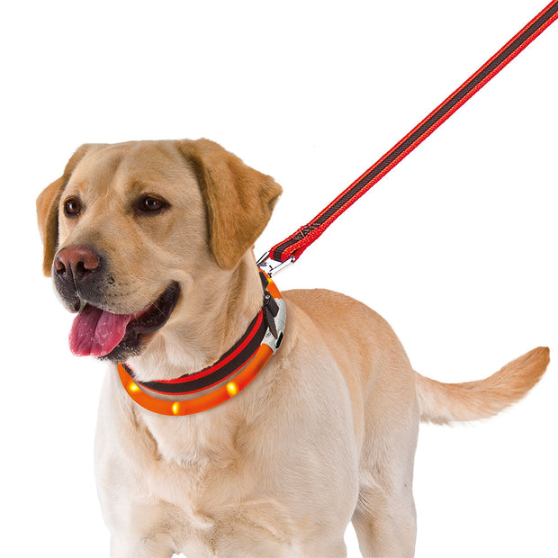 Ferplast Night Over Flash Collar[Flashing over collar for dogs. Recharge with Usb cable]Length: 55cm