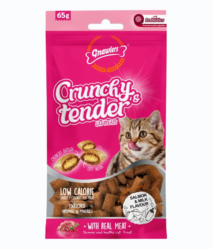 Gnawlers Crunchy & Tender Cat Treats 65g - Salmon & Milk Flavour 