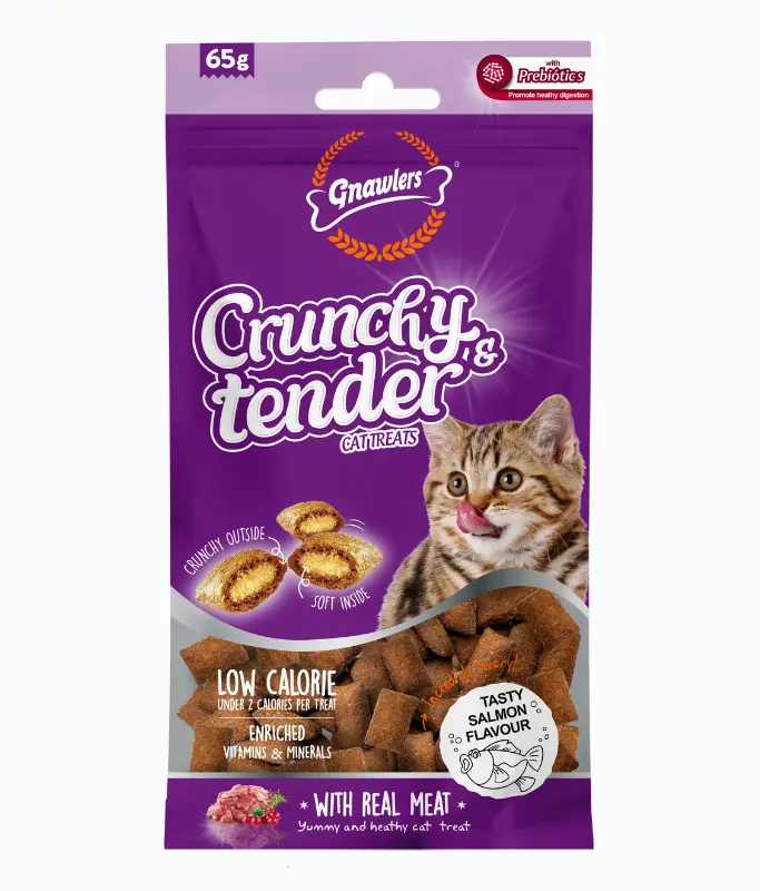 Gnawlers Crunchy & Tender Cat Treats 65g - Salmon Flavour 