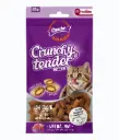 Gnawlers Crunchy & Tender Salmon Flavour Cat Treats Bag 65g