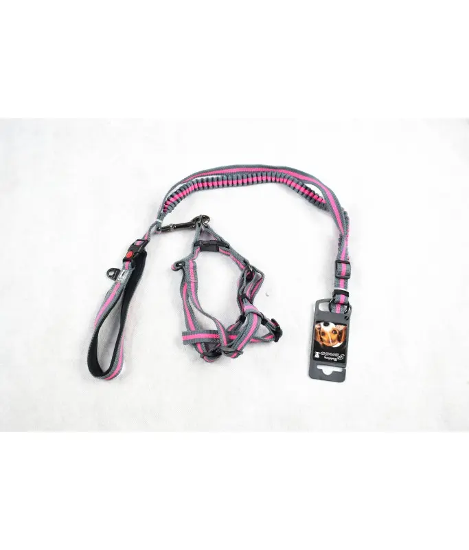 [17121926] Golden Panda Leash + Harness + CollarDimension: 25mm x 60-90cm + 15mm x 120cm