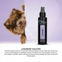 Groom Professional Lavender CologneVolume: 200ml 