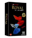 Horizone Royal Guppy Food - 22g 