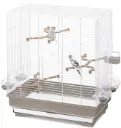 IMAC Carlotta Bird Cage - Ideal Habitat for Canaries, Parakeets & Small Exotic Birds Size: 50 x 30 x 56cm (White) 