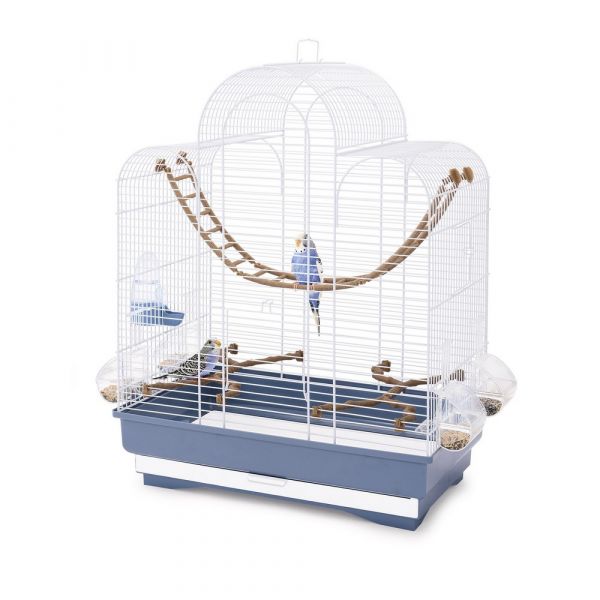IMAC FIONA Bird Cage – Stylish Habitat for Canaries, Parakeets & Exotic Birds with Comfortable Vertical Space (50 x 30 x 65cm)