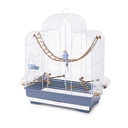 IMAC FIONA Bird Cage –  Stylish Habitat for Canaries, Parakeets & Exotic Birds with Comfortable Vertical Space (50 x 30 x 65cm)