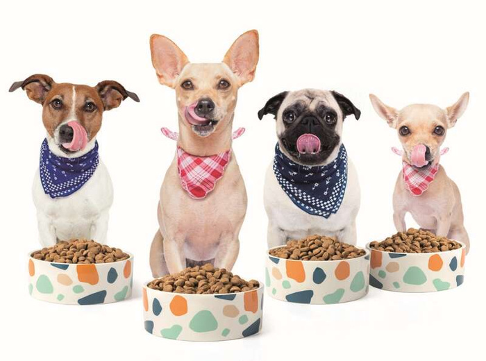 Imac Ceramic Bowls for DogsDimension: Ø16x6cm 