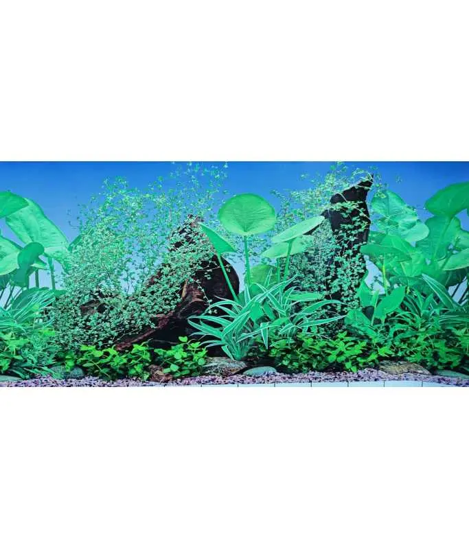 [F8-12] KW Zone Aquarium Backscreen 12