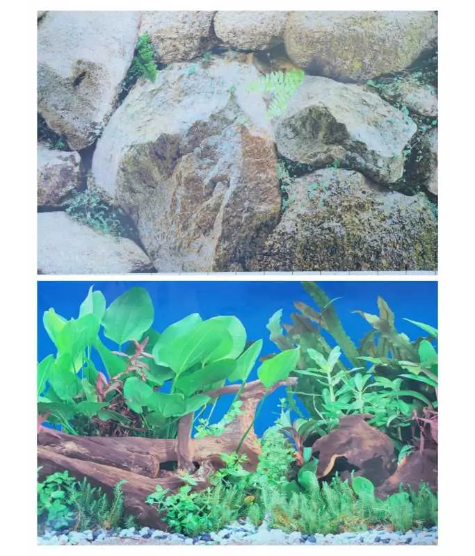 KW Zone Aquarium Backscreen 19