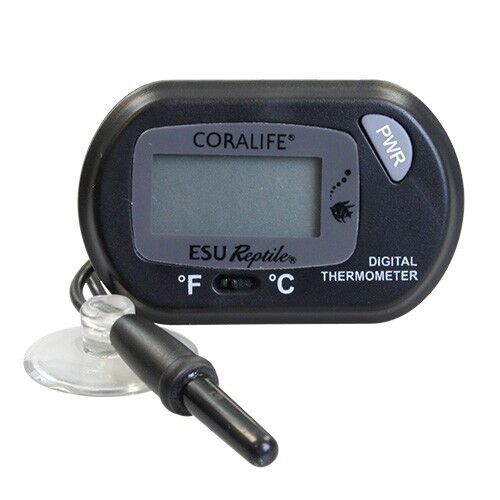KW Zone Digital Thermometer (Battery)
