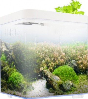 [BT119] KW Zone Dophin 7L Mini Betta Tank Kit without Temperature Display – 7L