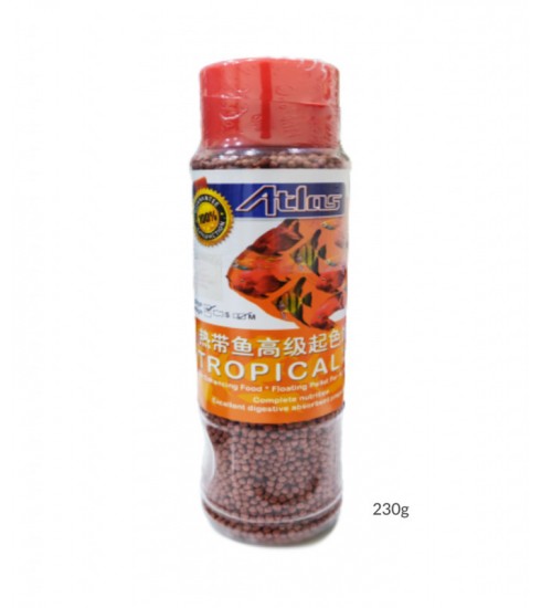 KW Zone atlas Topical Fish Pallet