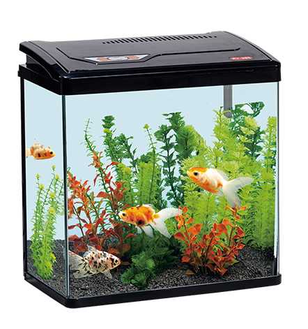 [PY-480-BK] Karis PY-Series Aquarium 480 x 260 x 450mmColor: Black