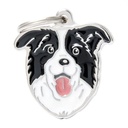 MY FAMILY BORDER COLLIE 