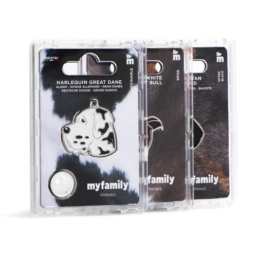 MY FAMILY WHITE BROWN JACK RUSSEL