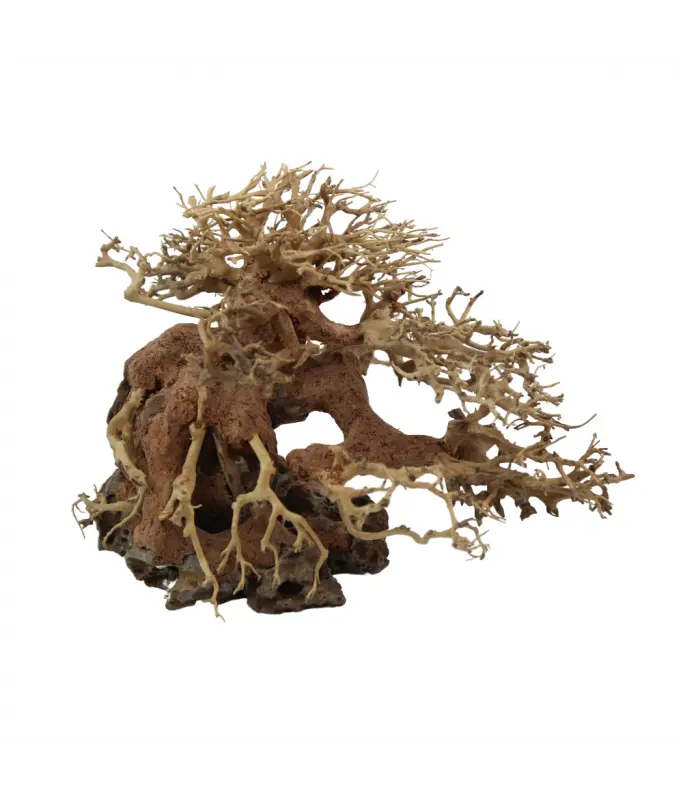 Natural Color Aquarium Decorative Natural Bonsai Driftwood Tree- 15-20cm (pc)