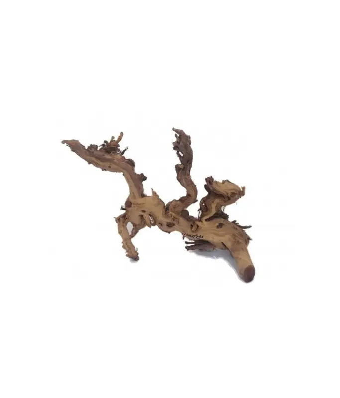 Natural Color Stylish Mangroove for Aquarium, 20-60cm (kg)Sizes: 20-60cm