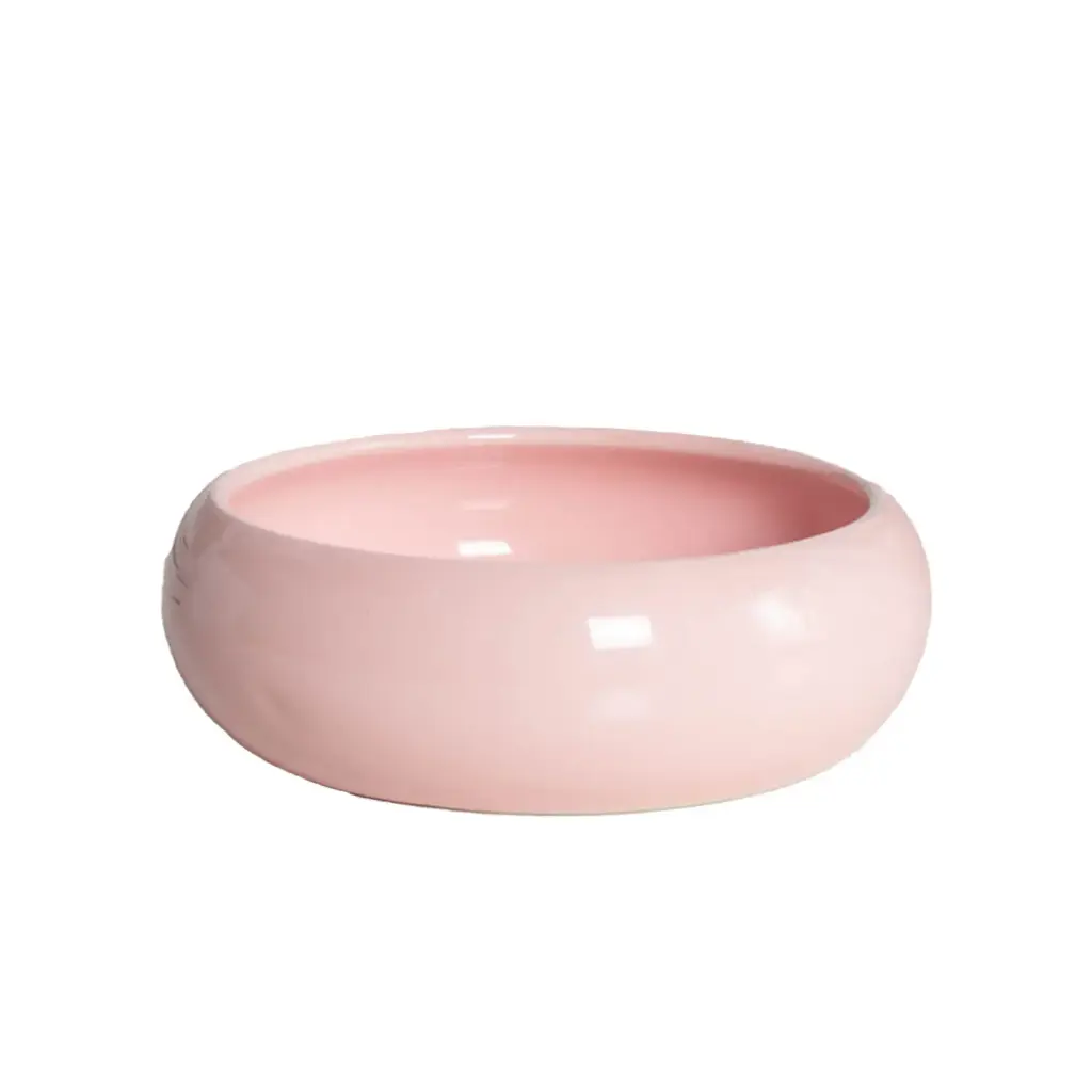 PETBROO GLOSSY CERAMIC BOWL 12.4*5CM