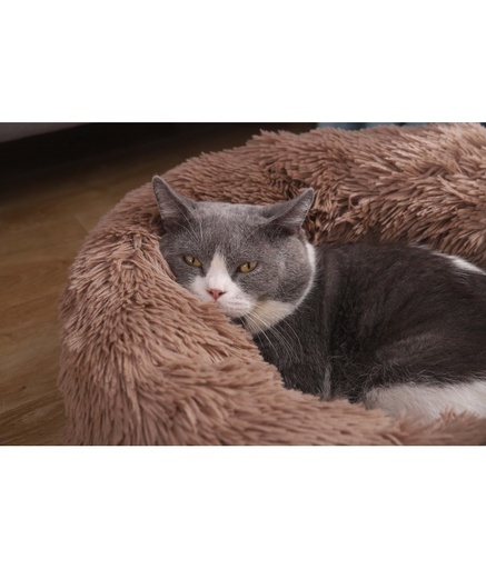 [2020111401600] Pado Pet Fluffy Donut Cushion - BrownSizes: XL, Dimension: 70 x 20cm