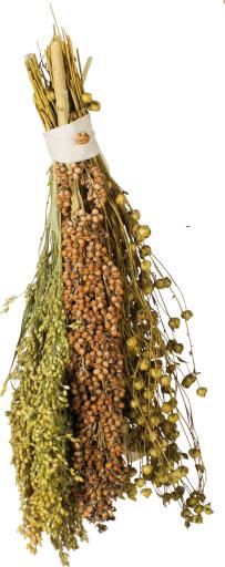 Padovan Grandmix Cardellini 800 gm - Goldfinch Bird Food