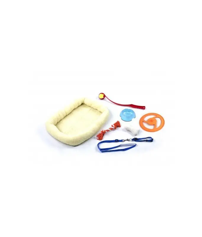 Paw Pals Dog Gift Box 8 In - Dog Starter Kit