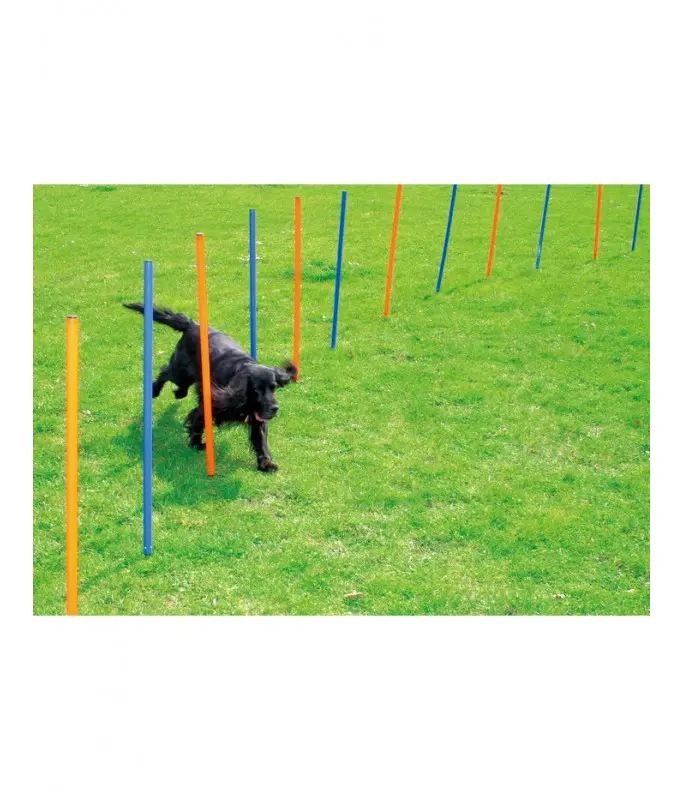 PawpalsDogTrainingPoles117x12x12Cm-12pcs