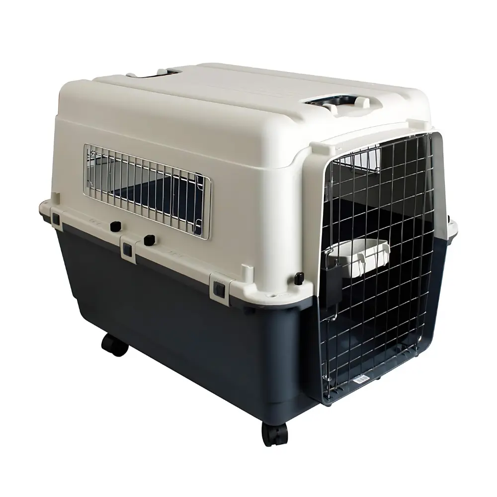 Pet Mode Plastic TransporterSizes: 80 x 56 x 59cm