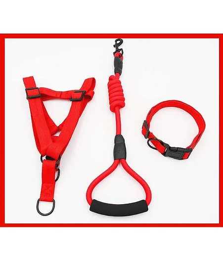 Petbroo Harness With Leads 1.0 x 120cm