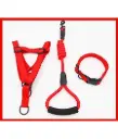 Petbroo Harness With Leads 1.0 x 120cm