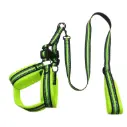 Petbroo Harness With Leash 1.5 x 120cm