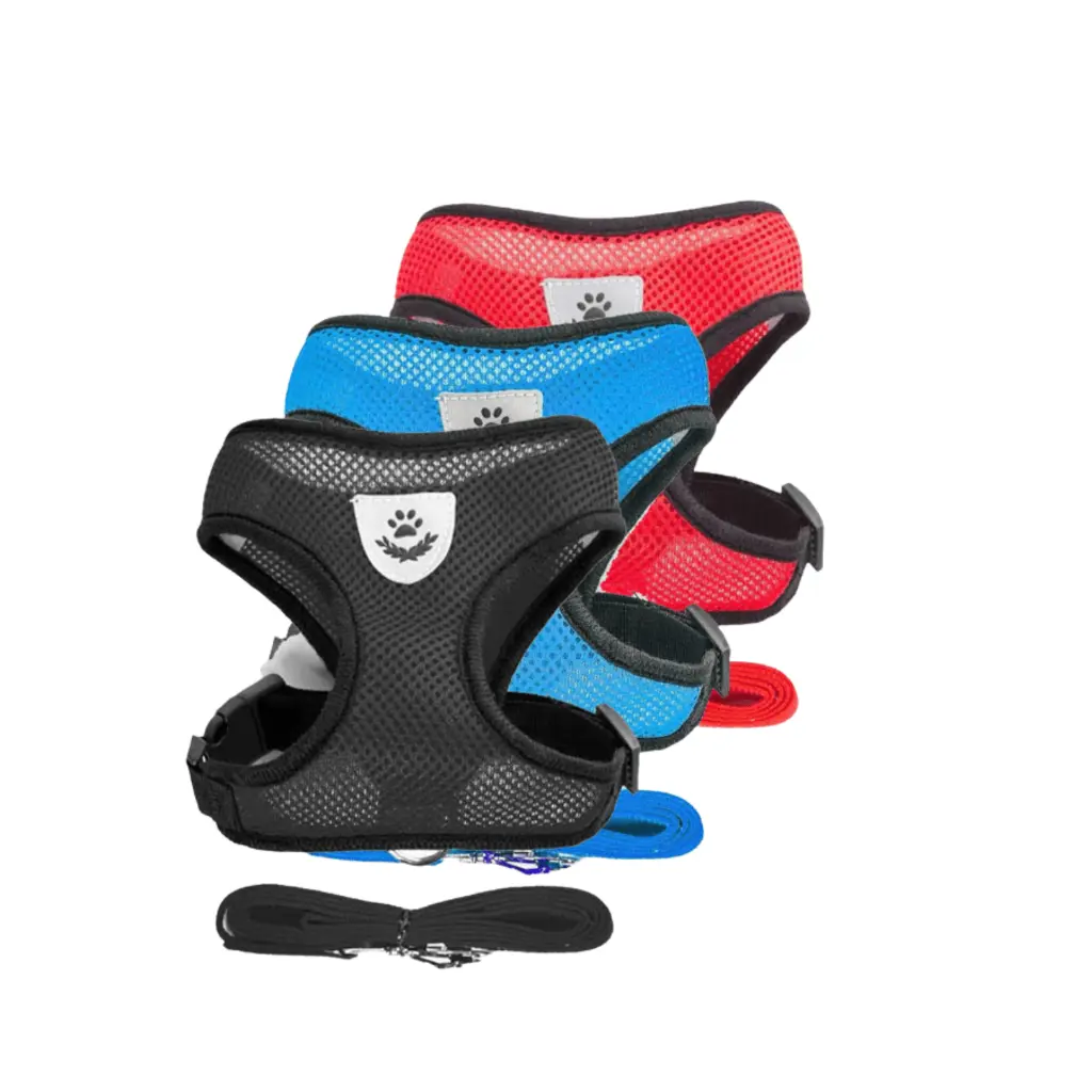 [PB11017003] Petbroo Harness With Leash L-assorted color-1pc