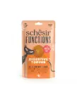Schesir Functions Cat Pouch Digestive Topper Pumpkin With Wheat Grass 40g - Digestive Support