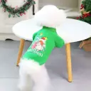 SeasopetChristmasPrintedDress35x47cm-Medium