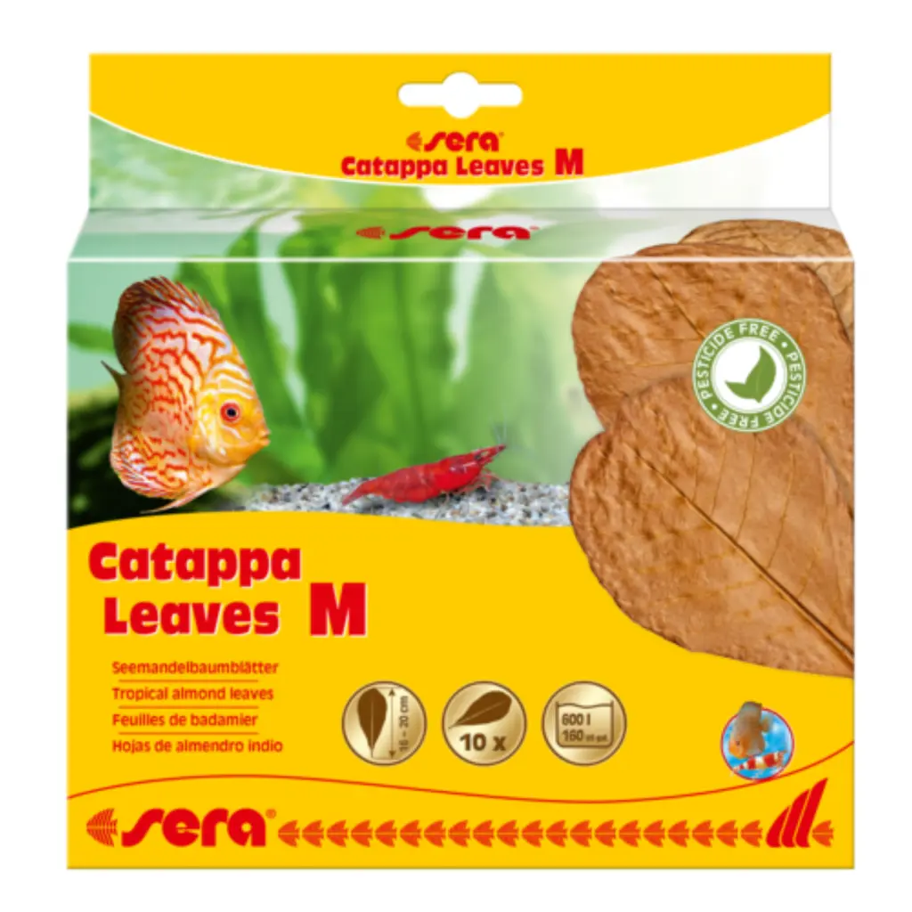 [4001942452441] Sera Catappa Leaves (10pcs) Sizes: M