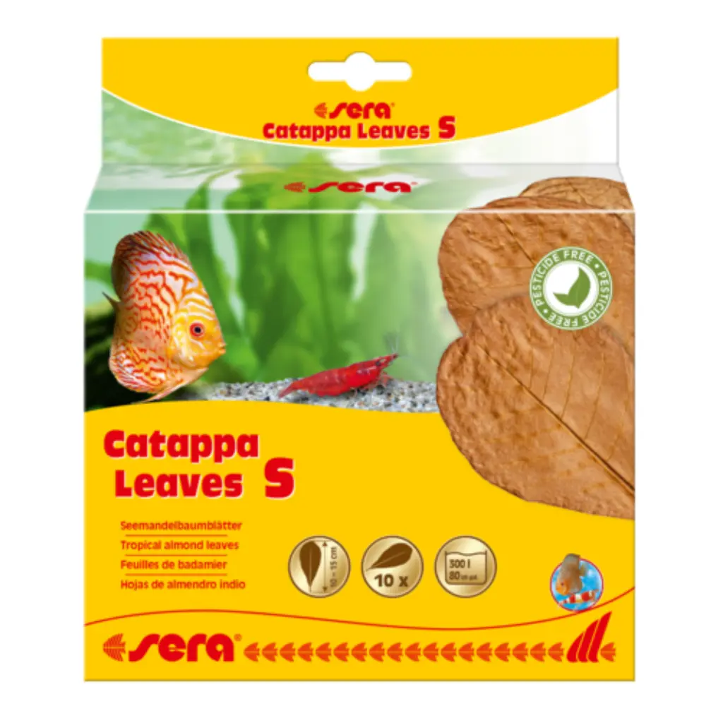 [4001942452434] Sera Catappa Leaves (10pcs) Sizes: S