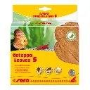Sera Catappa Leaves (10pcs) Sizes: S