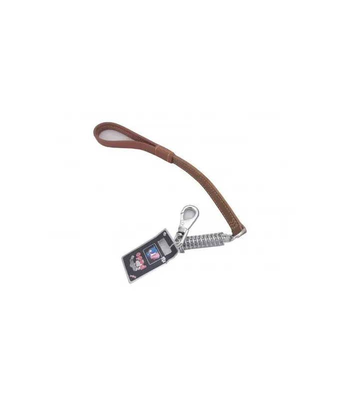 SmartWayLeatherLeash