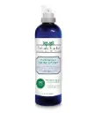 Synergy Labs Richard Organic Incredible Skin Spray 354ml Volume: 354ml