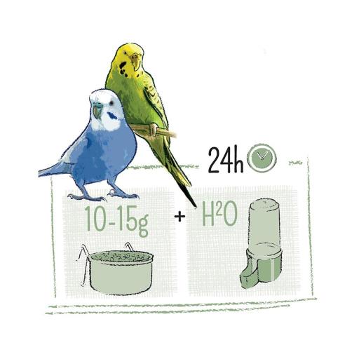 Witte Molen Puur BudgieWeight: 750g 