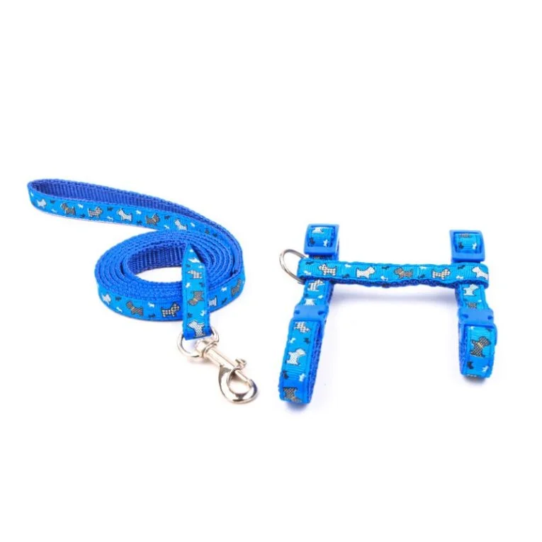 [PB22011017] petbroo cat collar+leash 1.0cm*120cm-assorted collor-1pc